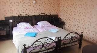 Гостиница Гостевой дом «Амелия» Адлер Стандартный двухместный номер с 2 отдельными кроватями-8